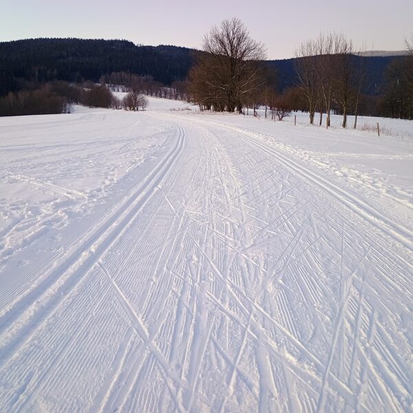Cross-country trails in Rokytnice