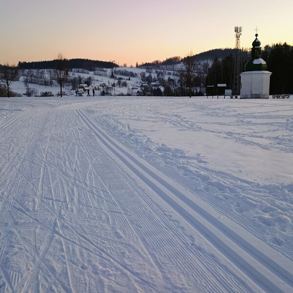 Cross-country trails in Rokytnice