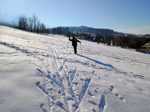 Běžkování v okolí chaletu