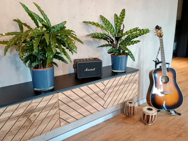 Marshall bluetooth reproduktor