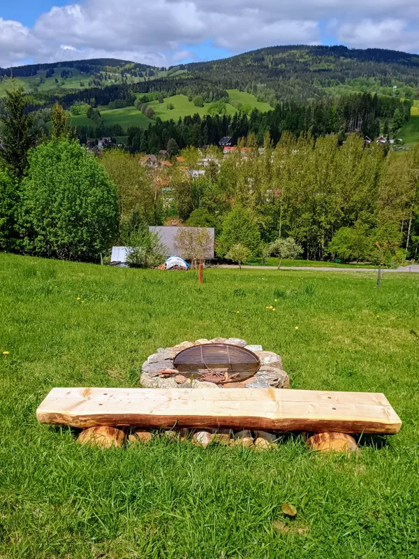 fireplace with grill